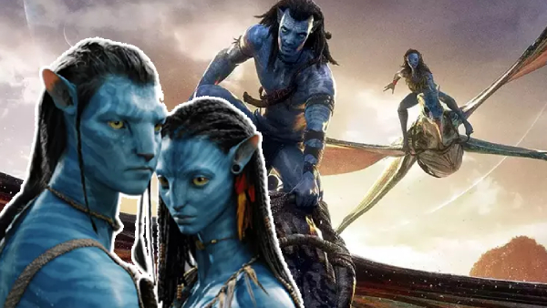 Blue Sattai Maran Trolled Jailer Movie Collection And Rajini Supporters Blue Sattai Maran Trolled Jailer Movie Collection And Rajini Supporters