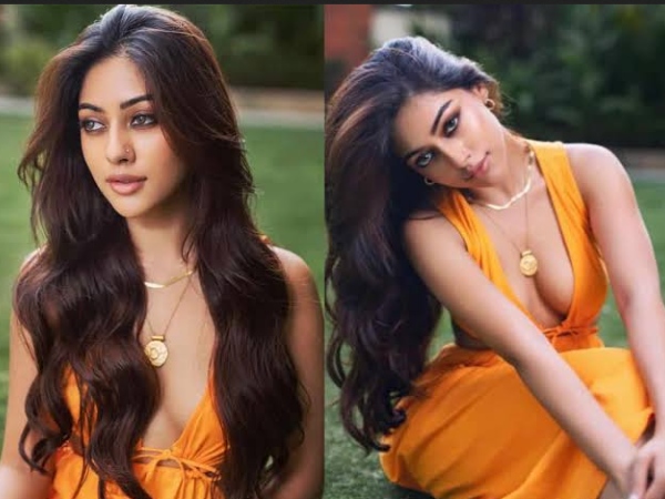Actress Anu Emmanuel Open Talks about Adjustment issue in Cinema 