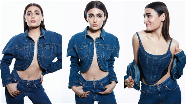 Arjun reddy movie actress shalini pandey photoshoot trending on social media 