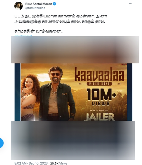 Blue Sattai Maran: Blue Sattai Maran trolled Tamannaah and Jailer success Blue Sattai Maran: Blue Sattai Maran trolled Tamannaah and Jailer success