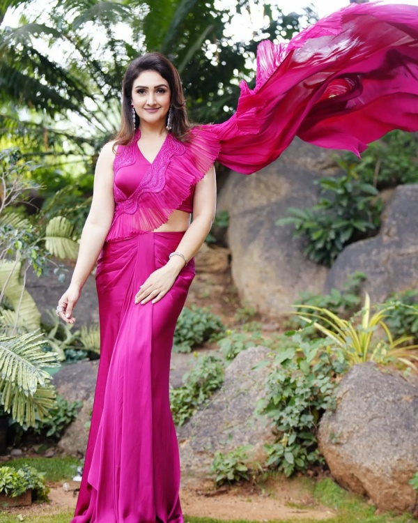 Vijayakumar daughter Sridevi Vijayakumar latest instagram post 