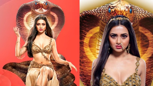 Colors tamil channel Naagini 6 serial completes 100th episode and fans happy on that