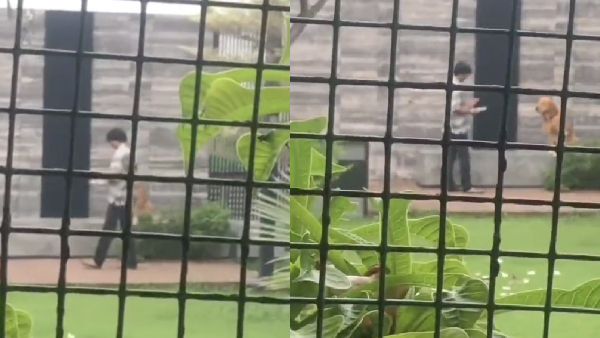 Vijay: Thalapathy Vijay playing with his pet video is trending