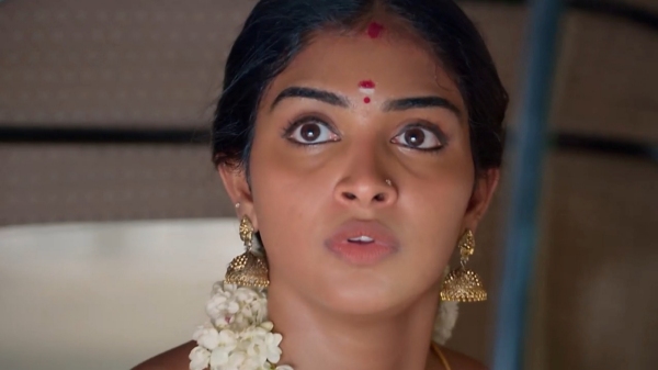 zee tamil Karthigai Deepam serial november 23rd today episode