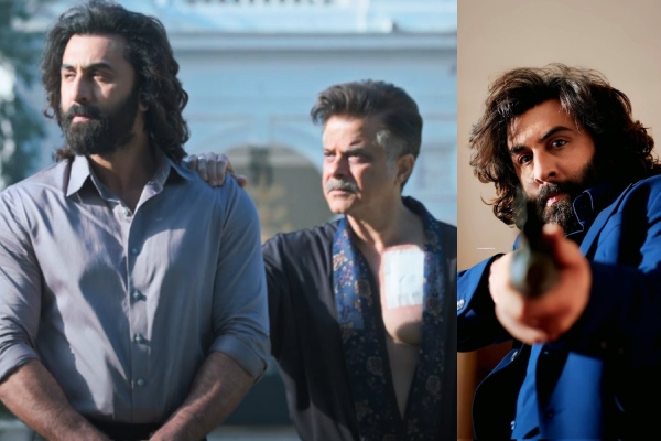 Ranbir Kapoors Animal movie box office collection Ranbir Kapoors Animal movie box office collection