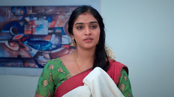 zee tamil television Karthigai Deepam serial December 29th full episode