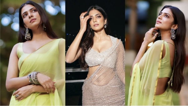 Actress Malavika mohanans new photoshoot pictures makes fans interesting