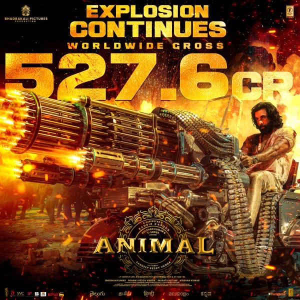 Ranbir Kapoor and Rashmika Mandannas Animal movie crosses 500 crores at Box Office