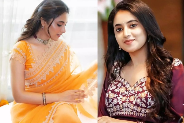 Do you know what Priyanka Mohan did before entering cinema?