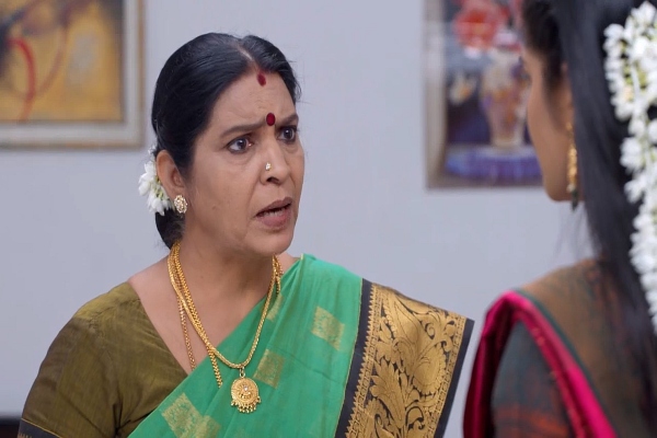 zee tamil television Karthigai Deepam serial february 14th episode