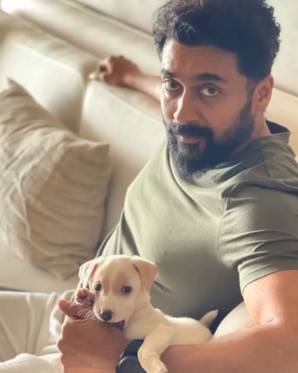 Actor Suriyas latest click makes his fans more impressive