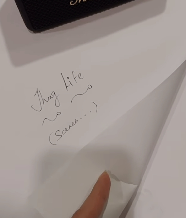 Trisha joined Kamal Hassans Thug life shooting today 