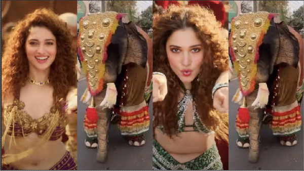 Elephant doll dances for Jailer Kaavaala song like Tamannah Bhatia video goes trending Elephant doll dances for Jailer Kaavaala song like Tamannah Bhatia video goes trending