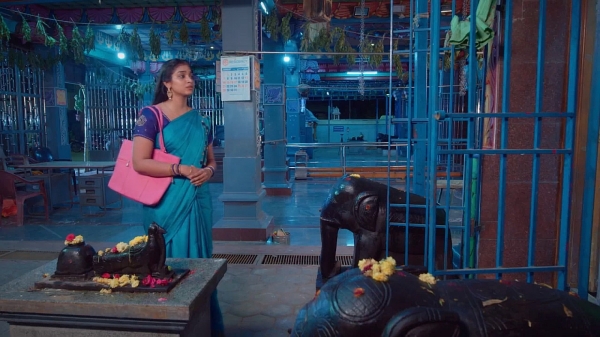 zee tamil television Karthigai Deepam serial february 6th full episode