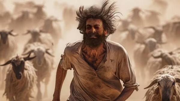 Aadujeevitham Prithviraj intimacy scenes with Goat censored by CBFC Aadujeevitham Prithviraj intimacy scenes with Goat censored by CBFC