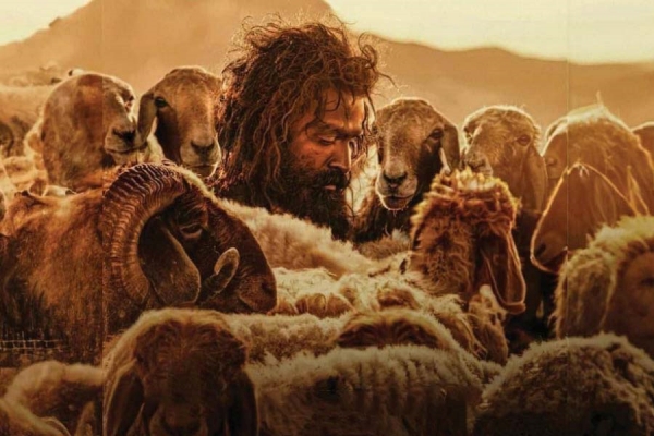 Aadujeevitham Prithviraj intimacy scenes with Goat censored by CBFC Aadujeevitham Prithviraj intimacy scenes with Goat censored by CBFC