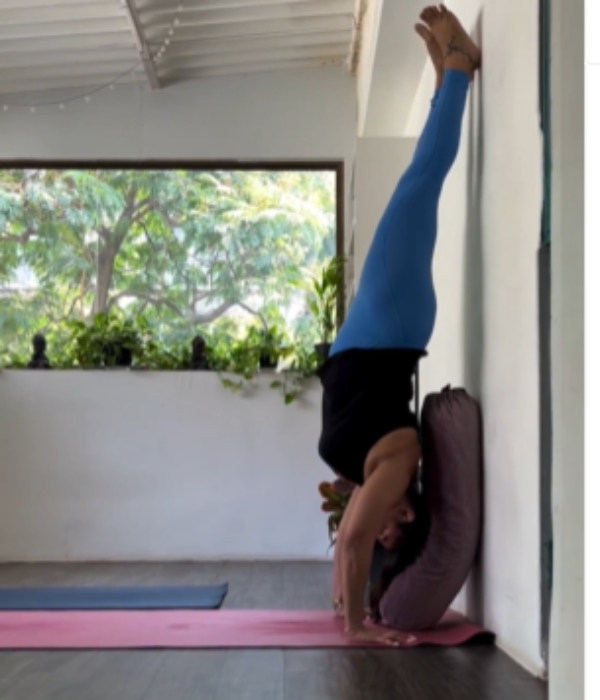 unnai thedi movie heroine malavika Workout video trending on social media