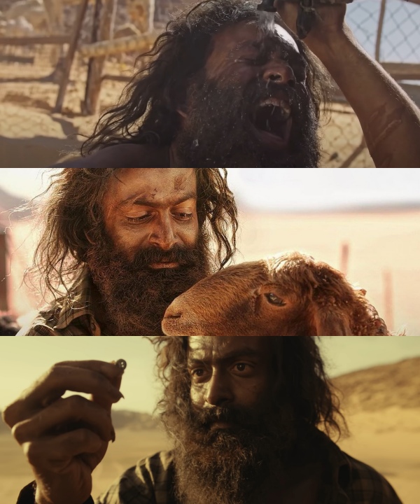 Prithviraj was fasting for 3 Days not even water in last day for Aadujeevitham dress less scene