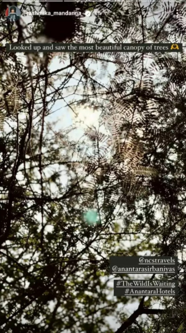 Is Rashmika mandanna dating with Vijay Devarakonda in Abu dhabi