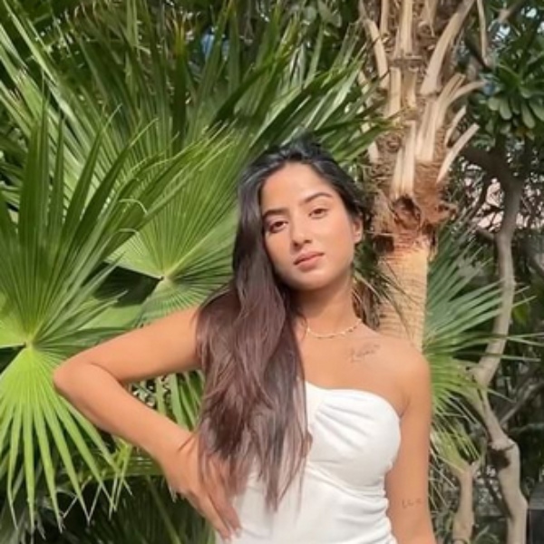 MTV Splitsvilla X5 ExSqueeze Me Please 10 contestant list and details are here