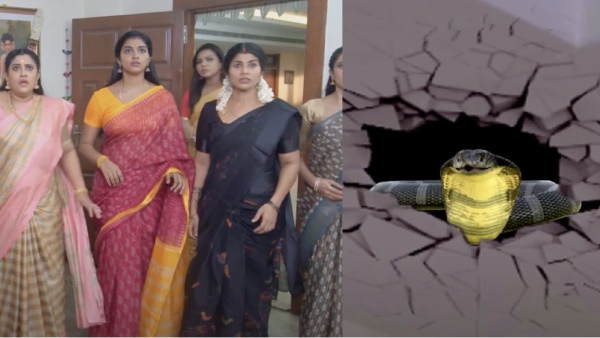 Zee tamil television Karthigai Deepam serial May 21st Episode full review Zee tamil television Karthigai Deepam serial May 21st Episode full review