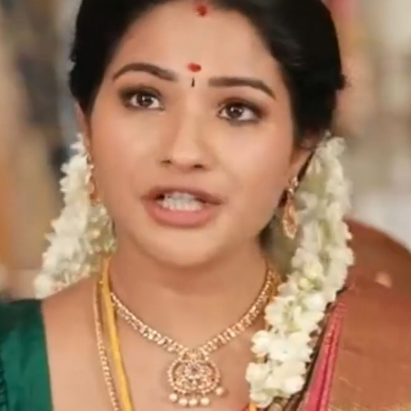 Television Pandian stores 2 serial Vijay TV