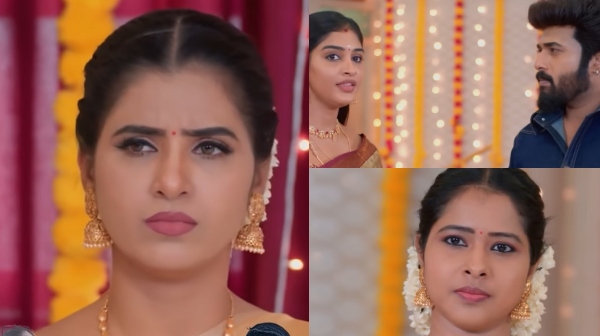 Television zee tamil Karthigai Deepam Serial