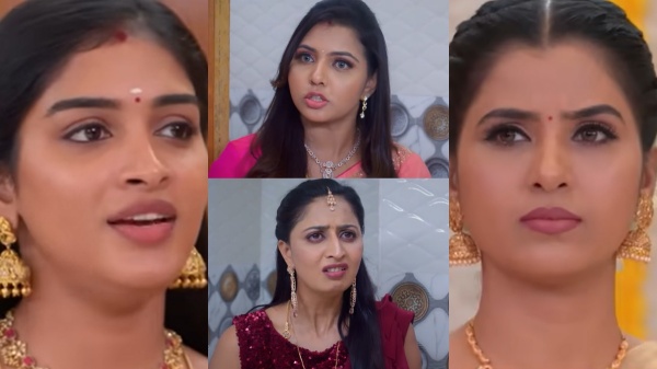 Television zee tamil Karthigai Deepam Serial