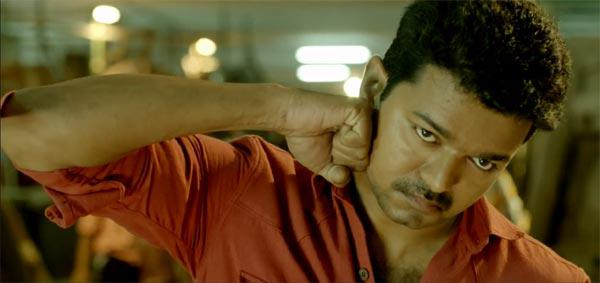 Vijay Vijay Birthday TVK Vijay Vijay Birthday TVK