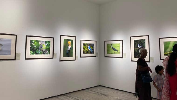 Mammootty Turbo movie Indian bullbull bird kochi