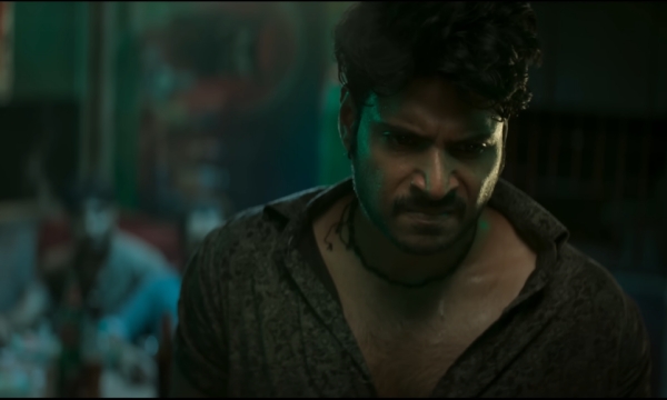 Raayan Dhanush Box Office Collection