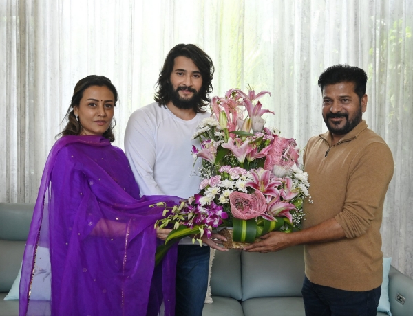 mahesh babu telangana allu arjun mahesh babu telangana allu arjun