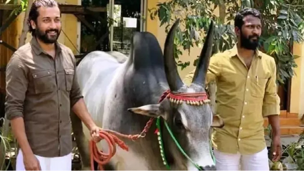 suriya vadivasal vetrimaran suriya vadivasal vetrimaran