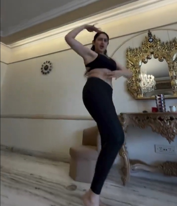 arya sayyeshaa heroine arya sayyeshaa heroine