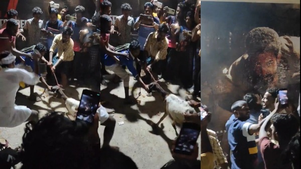 jr ntr devara jahnvi kapoor