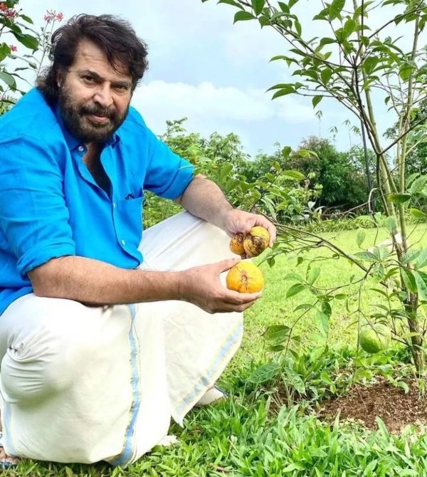 mammootty mammootty birthday