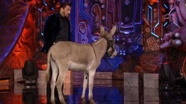 bigg boss season 18 donkey peta 18