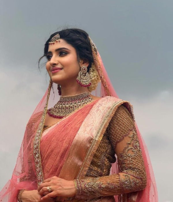 ayesha krishnan wedding