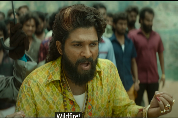 allu arjun rashmika mandanna pushpa 2 2