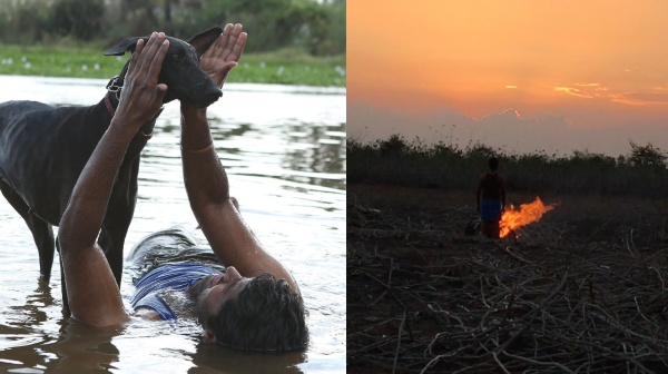 pariyerum perumal kathir karuppi dog death