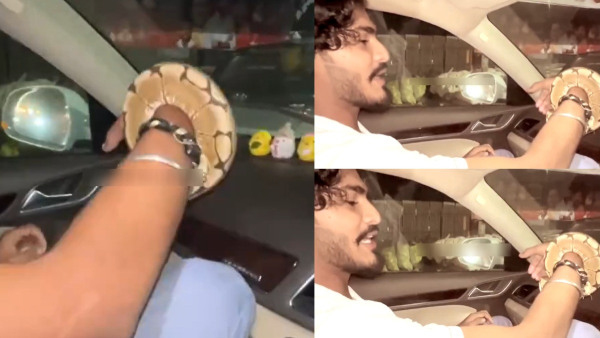 ttf vasan snake ttf ttf vasan snake ttf