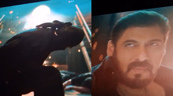 salman khan baby john atlee