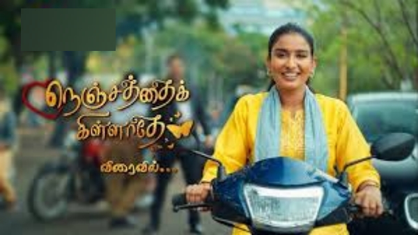 serial actress mounam pesiyadhe