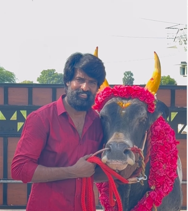 tvk thalapthi vijay palamedu jallikkattu 2025