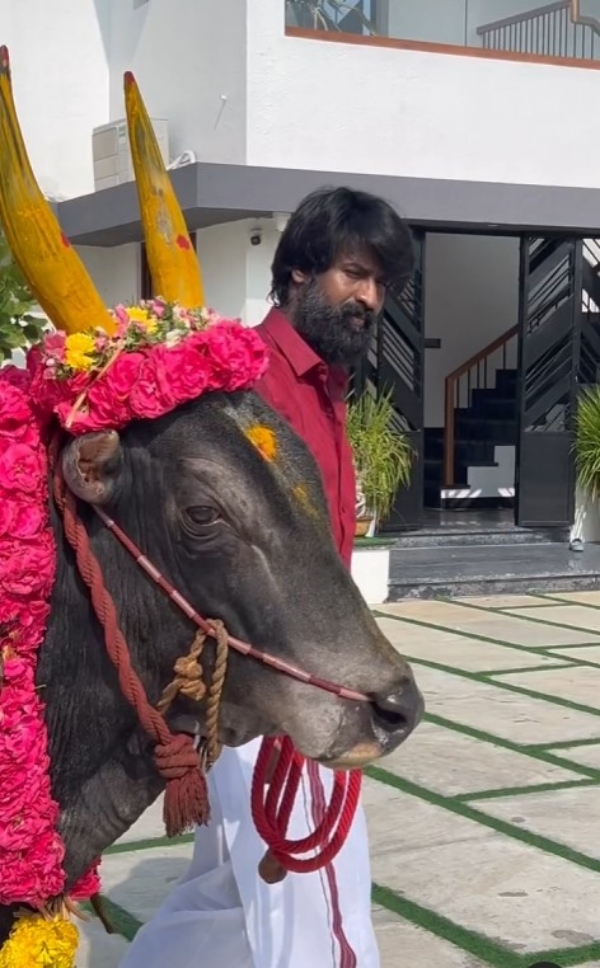 Pongal 2025 kollywood celebrities