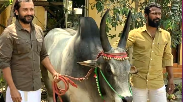 the-shooting-date-of-the-film-vaadivasal-has-been-changed-again