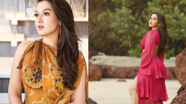 catherine-tresa-dances-to-the-controversial-song-from-the-movie-gangers