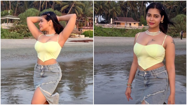 Dharsha gupta bigg boss