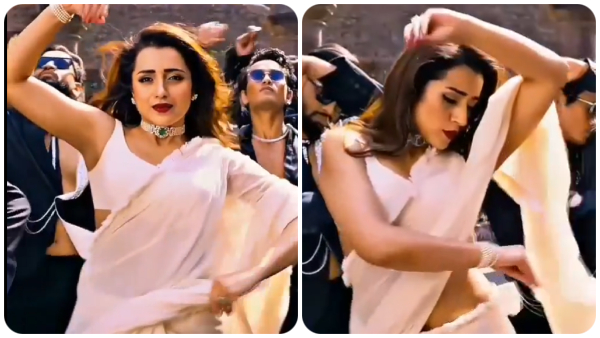 thug life trisha Salary