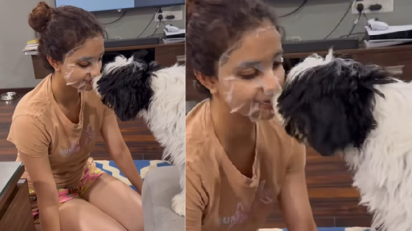 Keerthy Suresh frightened her cute dogs with face mask Keerthy Suresh frightened her cute dogs with face mask